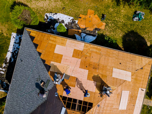 Quick and Trustworthy Emergency Roof Repair Services in Stafford, OR